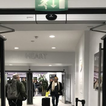 Automatic Swing Doors