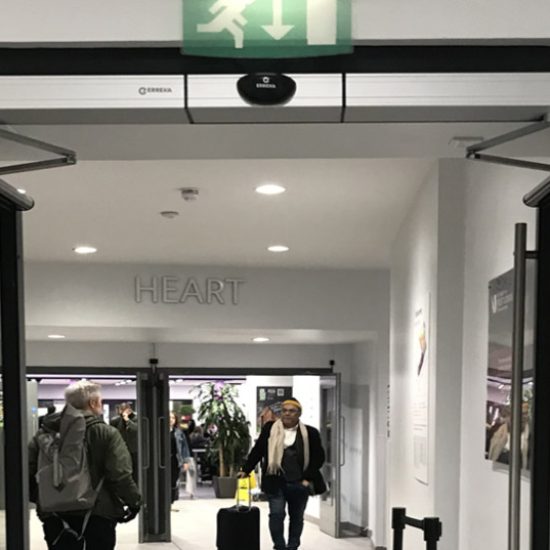 Automatic Swing Doors